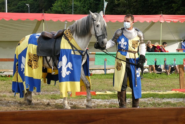 赖斯的成功 赖斯的成功