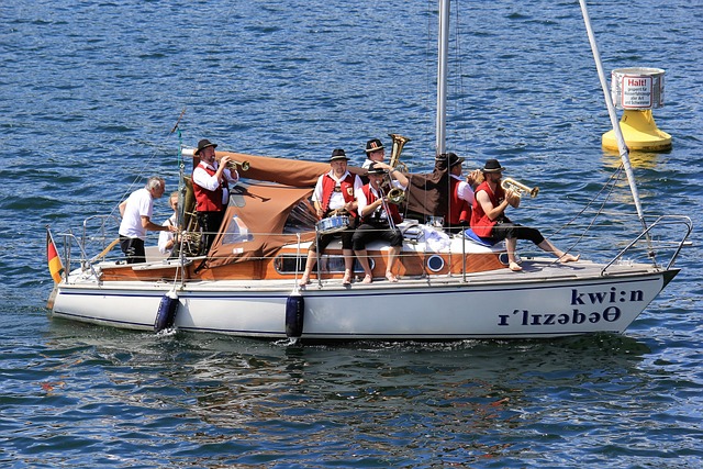 伴感到同情 伴感到同情