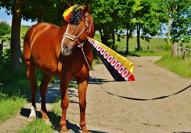 多次尝试通 多次尝试通