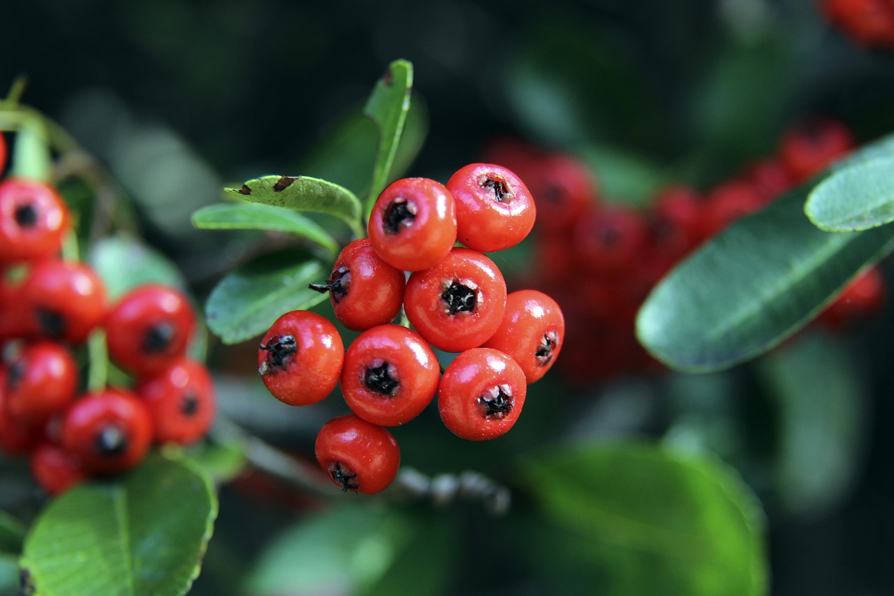 一次点球命 一次点球命